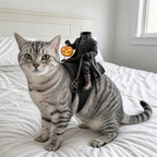 Silver tabby cat on a bed wearing a miniature headless rider costume