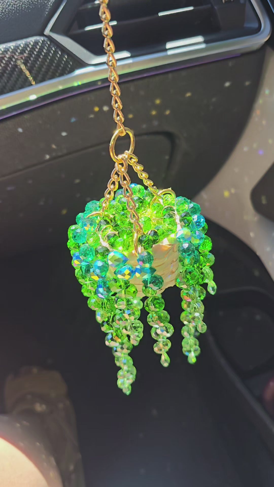 Rainbow Plant Suncatcher™