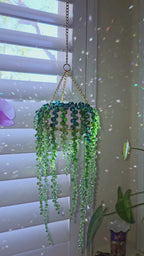 Rainbow Plant Suncatcher™