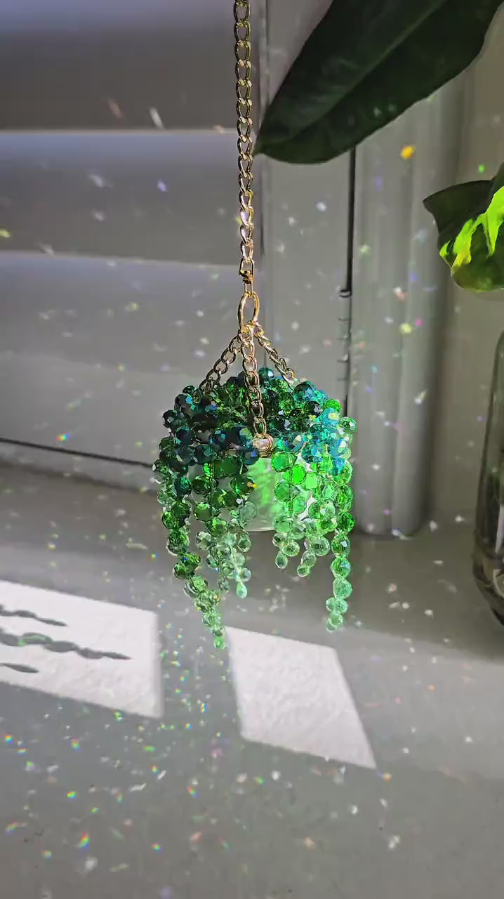 Rainbow Plant Suncatcher™