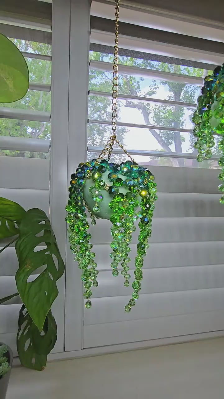 Rainbow Plant Suncatcher™