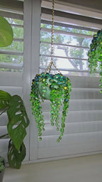 Rainbow Plant Suncatcher™